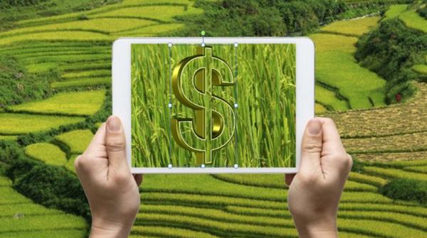 Agtech receives funding and expects to move more than R$1 billion in credit operations in the 2018 crop year